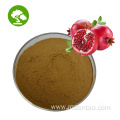 Pomegranate Bark Extract Powder Ellagic Acid